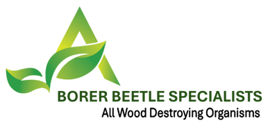 Borer Beetle Specialists
