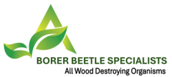 Borer Beetle Specialists